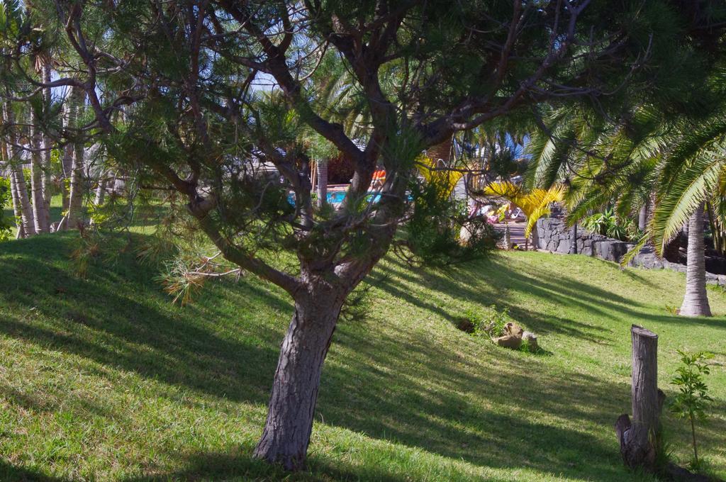 לוס ריאלחוס Apartamentos Playa De Los Roques מראה חיצוני תמונה